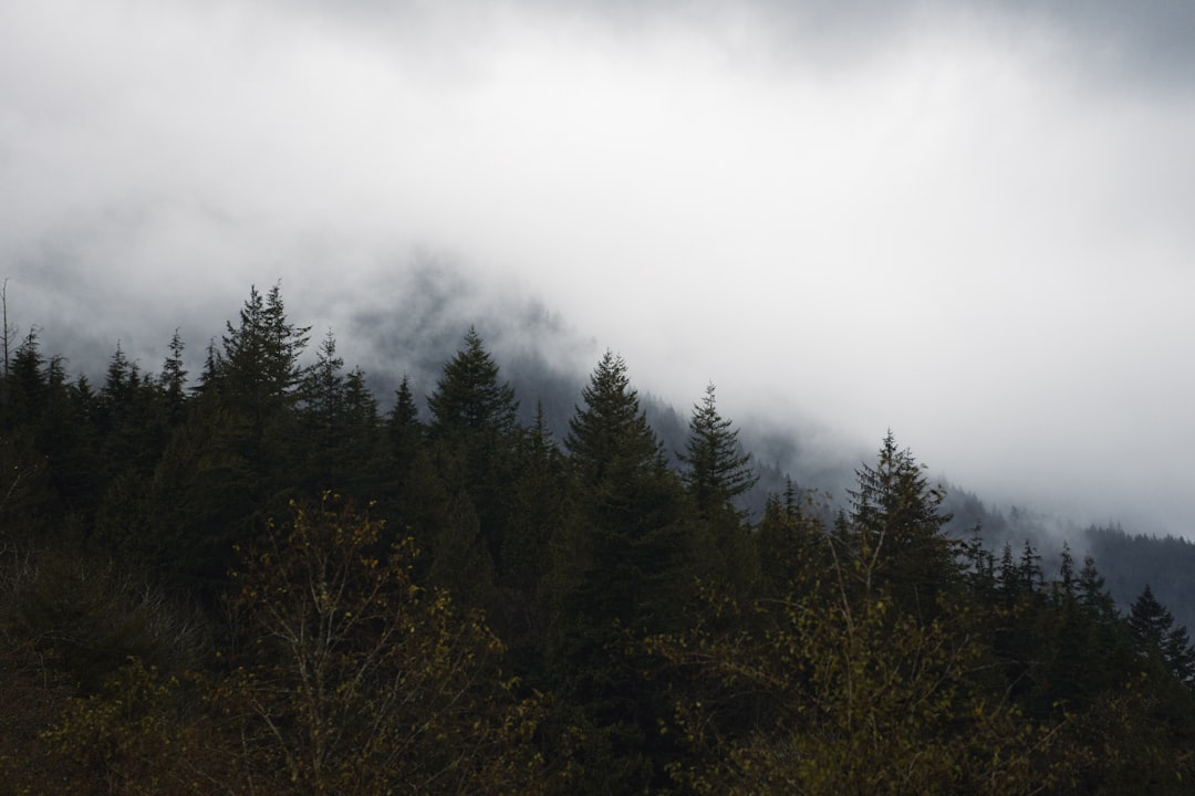 Fooi geven in restaurants en cafés: wat is gebruikelijk?
