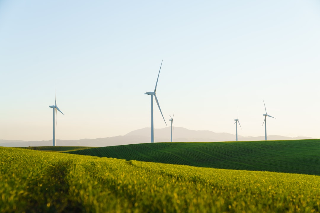Groene ketens: zo werkt een duurzame supply chain in de praktijk