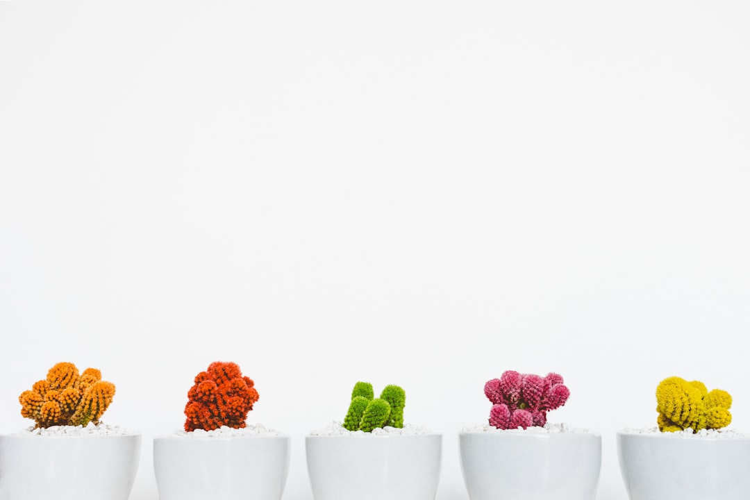 Plantaardig eten: wat het met je lichaam doet en hoe je ermee begint
