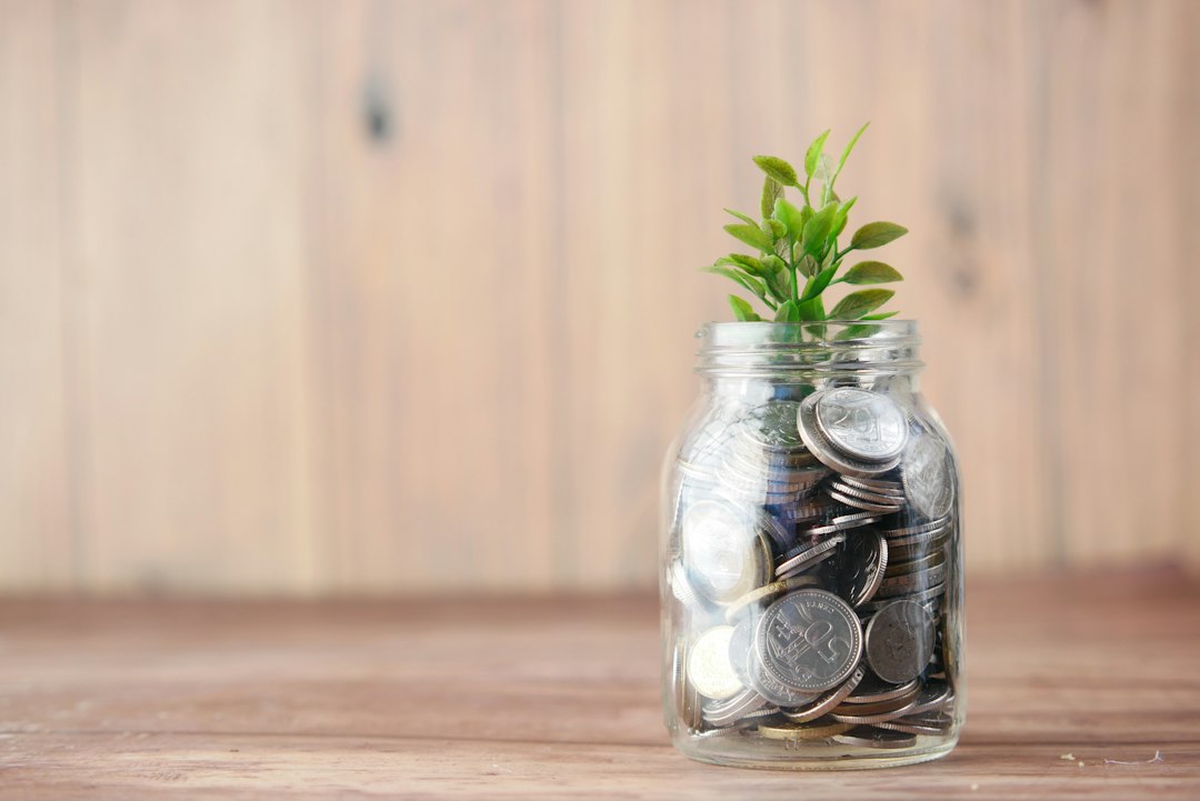 Subsidies voor duurzaam ondernemen: welke regelingen bestaan er en hoe vraag je ze aan?