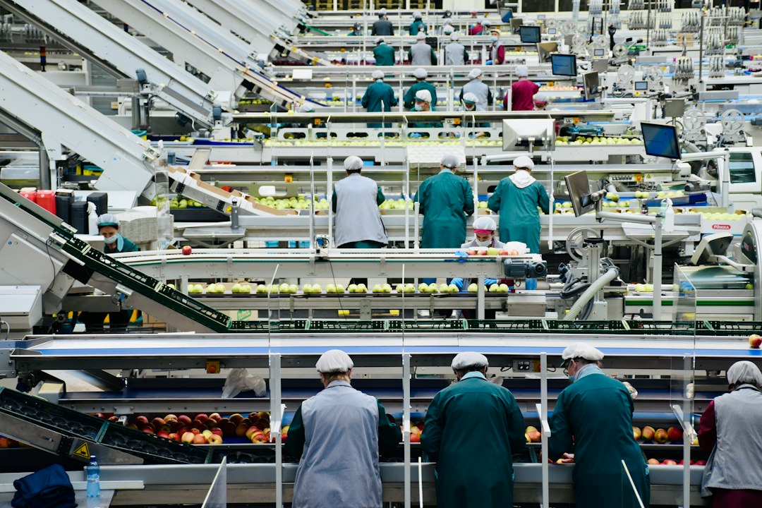 HACCP-plan: wat het is, hoe je het opstelt en wat de regels zijn