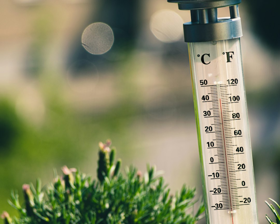 HACCP temperatuur richtlijnen: de exacte grenswaarden op een rij